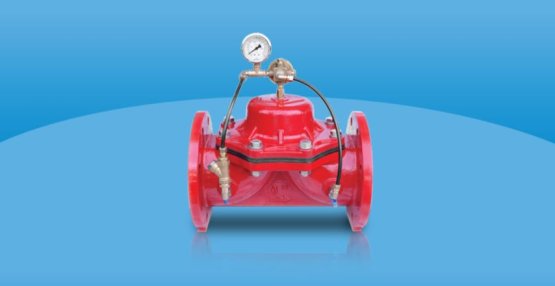 Basınç Tahliyeli Kontrol Vanası