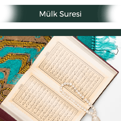 ghfghUntitled-1 copy