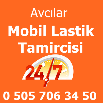 Avcılar