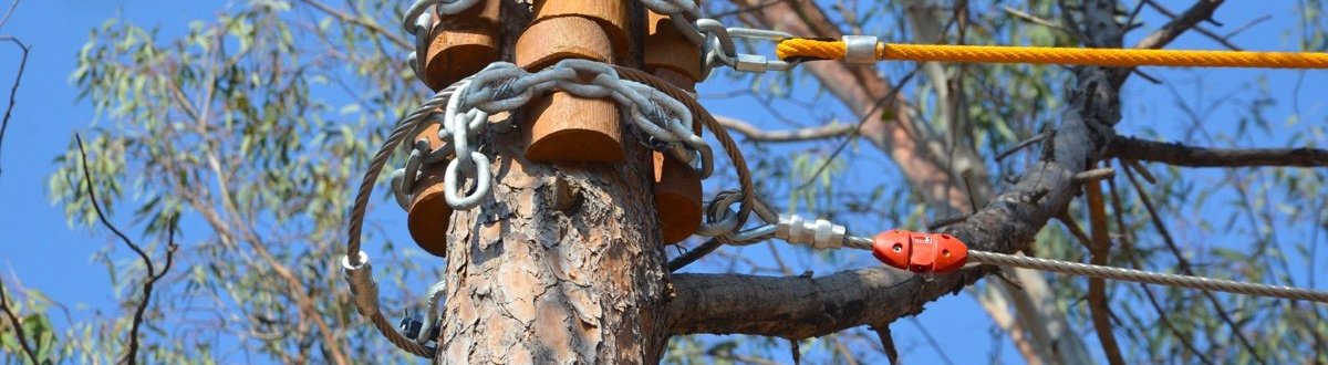 Ağaç Dostu Macera Parkı Bağlantı Sistemleri