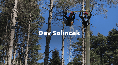 Dev-Salıncak