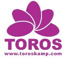 Toros