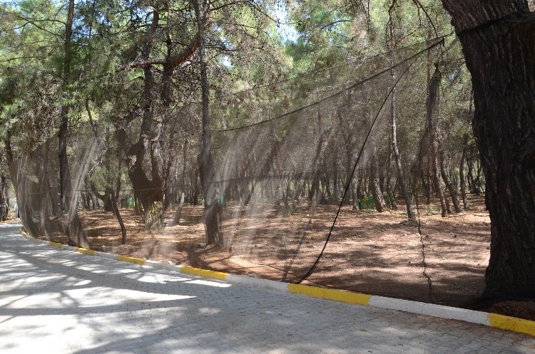 Antalya Gençlik Spor İl Müdürlüğü Duacı Gençlik Kampı Survivor Parkuru ve Paintball Saha Kurulumu 6