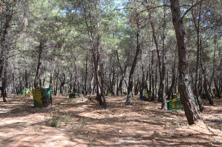 Antalya Gençlik Spor İl Müdürlüğü Duacı Gençlik Kampı Survivor Parkuru ve Paintball Saha Kurulumu 13