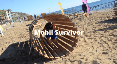 Mobil Survivor