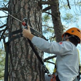 Harmancık Belediyesi