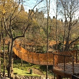 İstanbul Büyükşehir Belediyesi - Gökyüzü Yürüyüşü