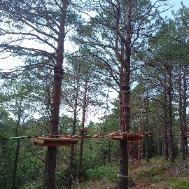 Fındıklı Kaymakamlığı - Macera Parkı