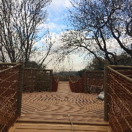 Seyir Terası ve Asma Köprüler