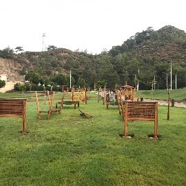 Survivor Parkurları