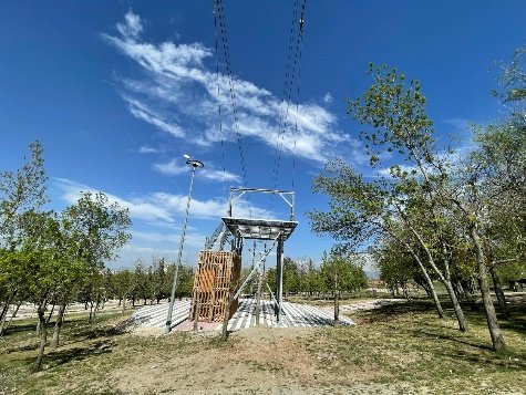 Whatsapp Image 2024-04-19 At 3.47.22 Pm (2)