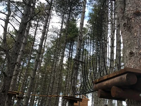 Ordu Büyükşehir Belediyesi