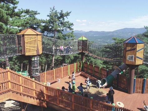 Gökyüzü Yürüyüşü