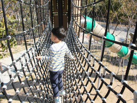 Gökyüzü Yürüyüşü