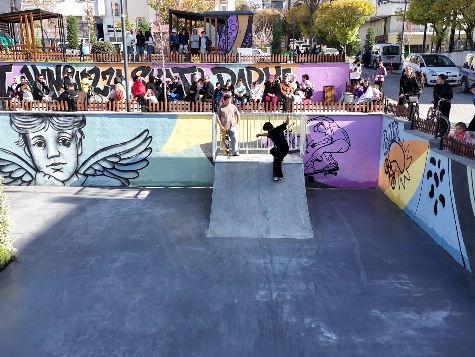 Ahmet Minguzzi Skate Park