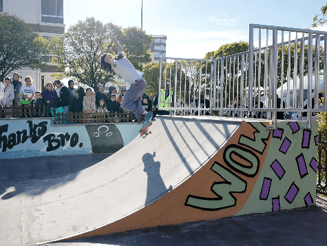 Ahmet Minguzzi Skate Park
