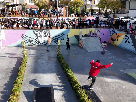Ahmet Minguzzi Skate Park
