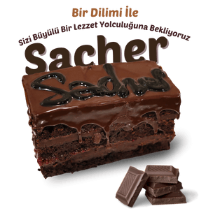 sacher