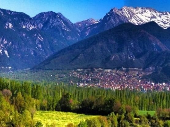 Honaz İstanbul Nakliyat