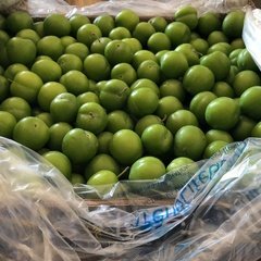 Yaş Meyve / Yeşil Erik