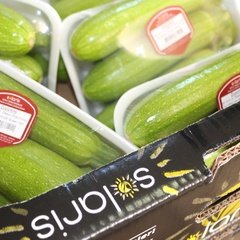 Yaş Sebze / Kabak Tabak