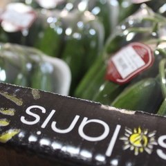 Yaş Sebze / Silör Kabak