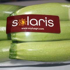 Yaş Sebze / Kabak Tabak