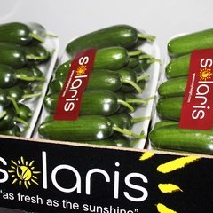 Yaş Sebze / Silör Tabak