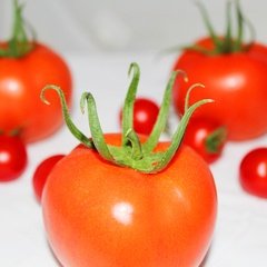 Yaş Sebze / Domates