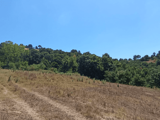 Yeşilköy Mevkiinde İmara Yakın Tarla 923,14 m²