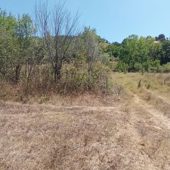 Abrek Emlak Yeşilköy Tarla (2)