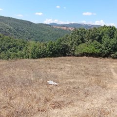 Abrek Emlak Yeşilköy Tarla (8)