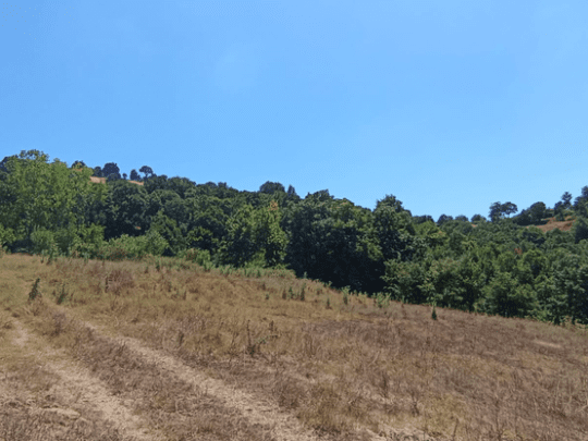 Yeşilköy Mevkiinde İmara Yakın Tarla 923,14 m²