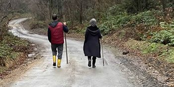 Sapanca Sonrası Sendromu