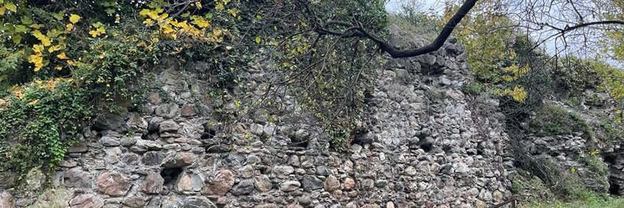 Sapanca Kurtköy Kale Kalıntıları