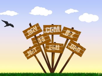 DOMAIN (ALAN ADI) SEÇİMİ