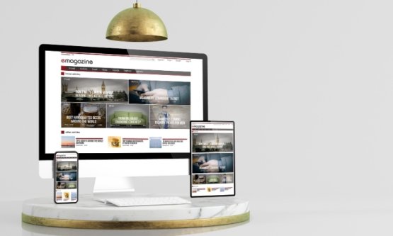 WEB SİTESİ TEMA SEÇİMİ