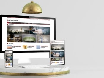 WEB SİTESİ TEMA SEÇİMİ