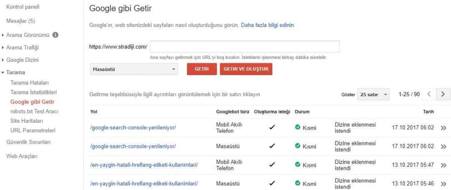 Google Search Console Tarama