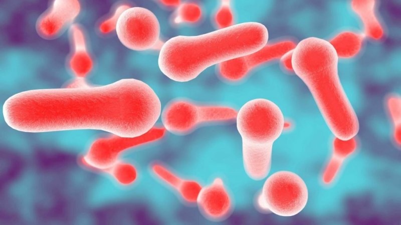 tetanoz hastalığı ve aşısı