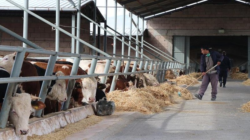 mahkumların çalıştırılması-3