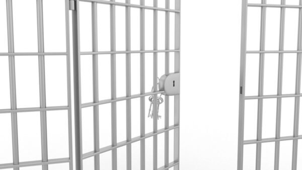 MAHKUMLARIN ÇALIŞTIRILMASI