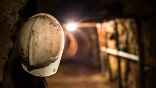 DOMUZ DAMI YÖNTEMİ NEDİR?