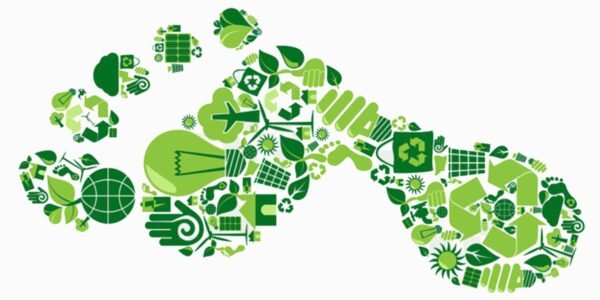 KARBON AYAK İZİ NE DEMEKTİR?