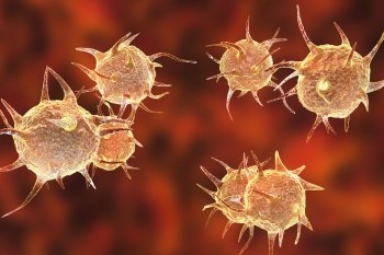 ŞANTİYELERDE DİZANTERİ SALGINLARI