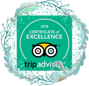 Q Spa Wellness Trip Advisor