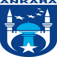 Ankara Toptan Midye Dolma