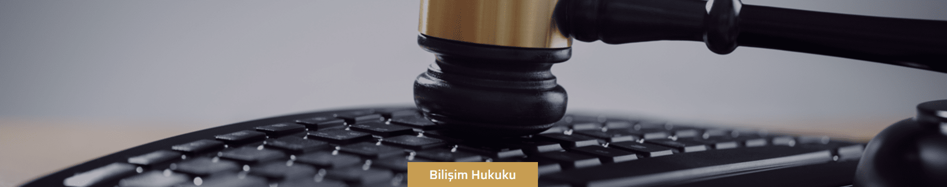 bilişim hukuku