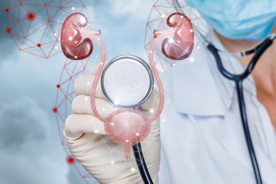 concept-diagnosis-treatment-urinary-system-patient