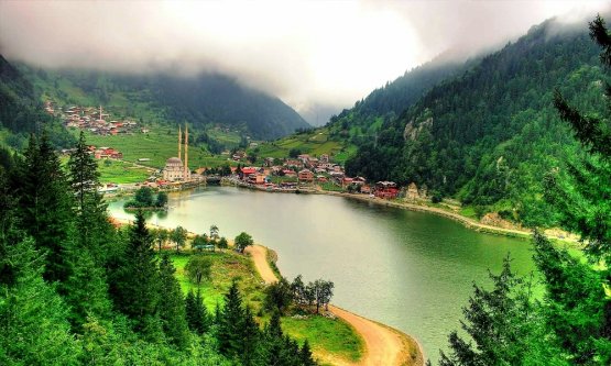 HAYDEE KARADENİZE